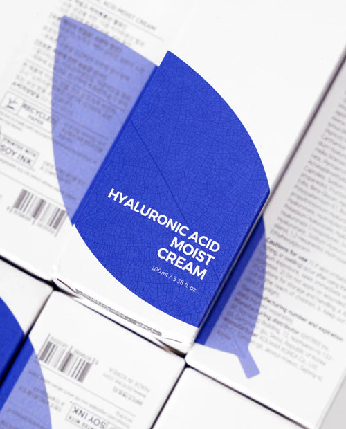 Isntree - Hyaluronic Acid Moist Cream