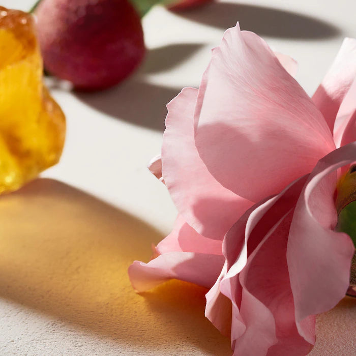 Chloé - Mini Eau de Parfum with Rose & Amber