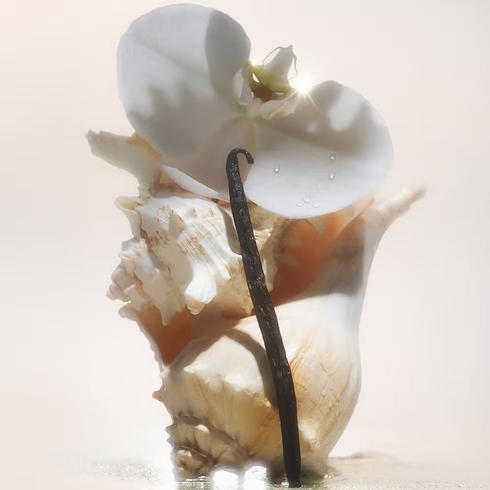 Saltair - Shimmering Body Oil with Squalane