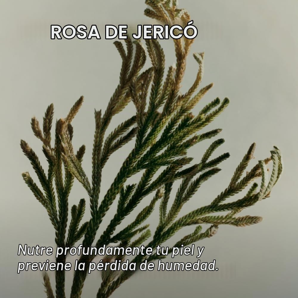 Abib - Jericho Rose PHA Toner Skin Booster