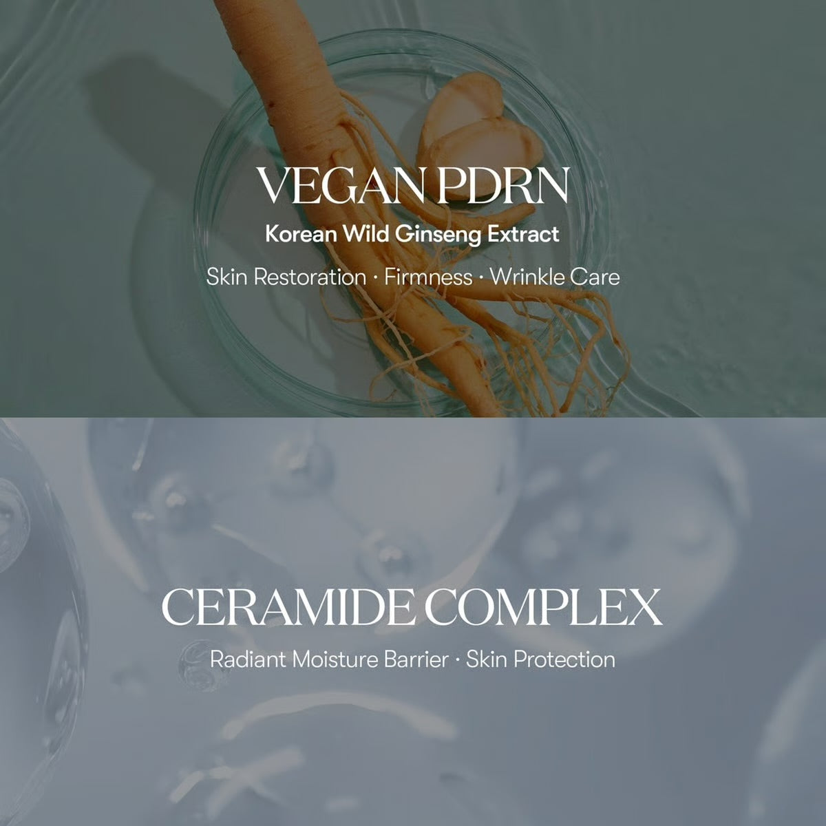 VT Cosmetics - PDRN Glow Ampoule