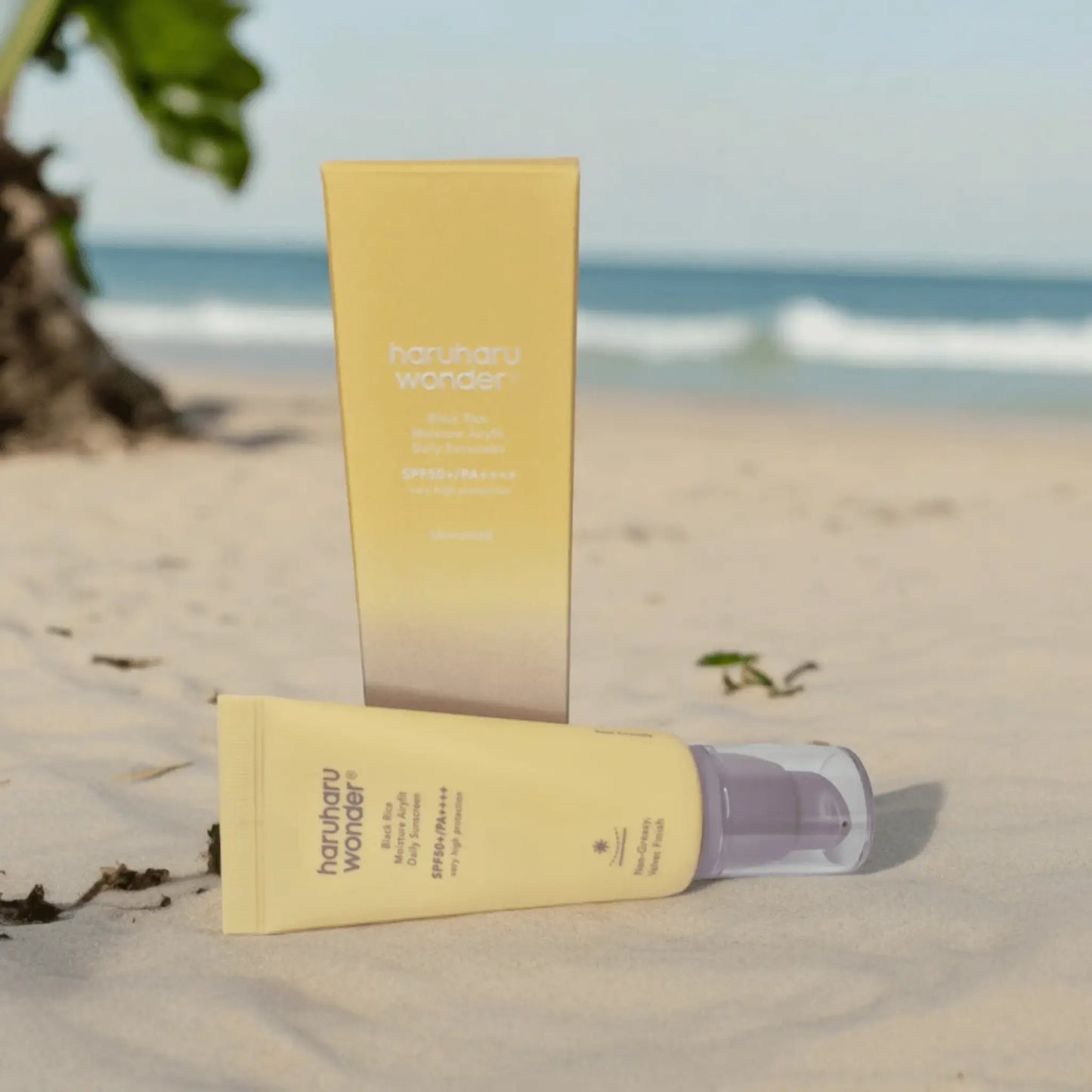 Haruharu Wonder - Black Rice Moisture Airyfit Daily Sunscreen  SPF 50+ y PA++++