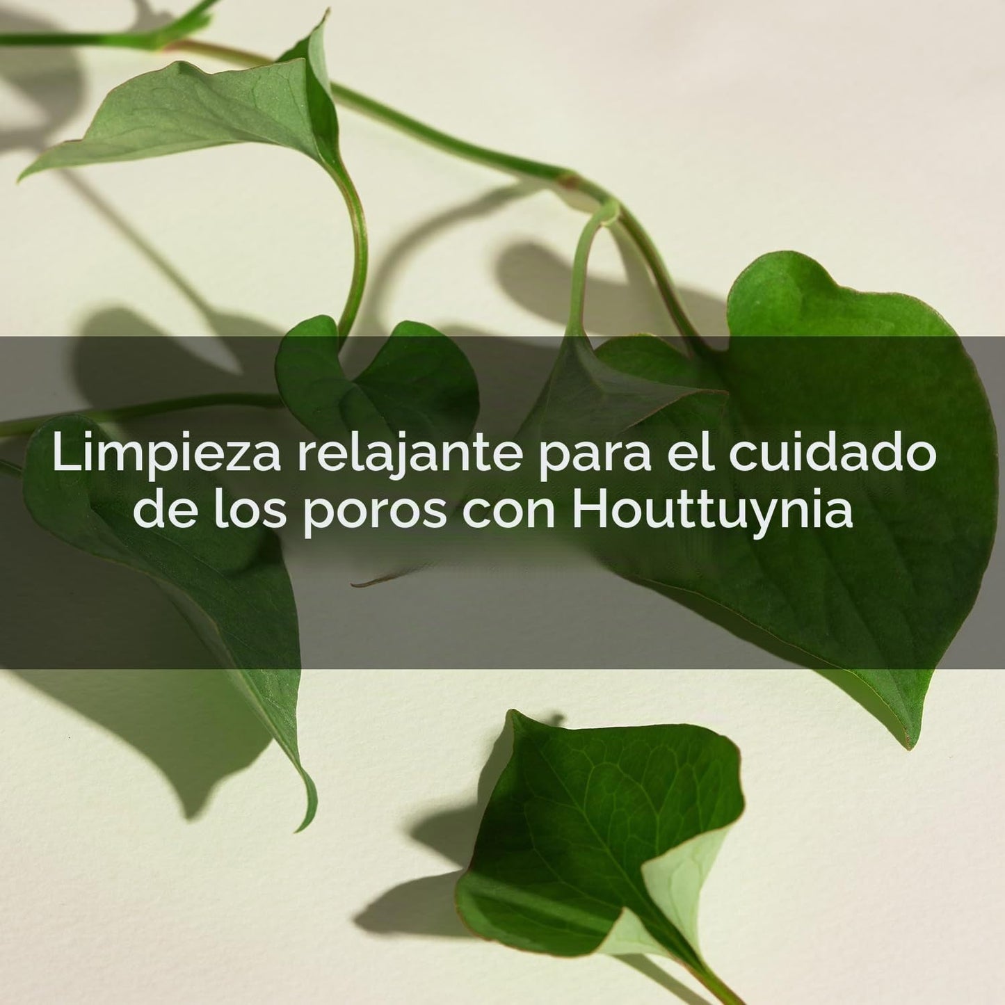 Mary&May - Houttuynia Cordata + Tea Tree Cleansing Foam