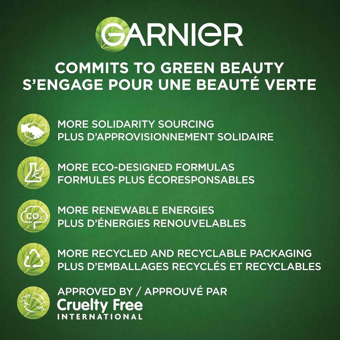 Garnier - 2% Niacinamide + Kale Balancing Ampoule Sheet Mask