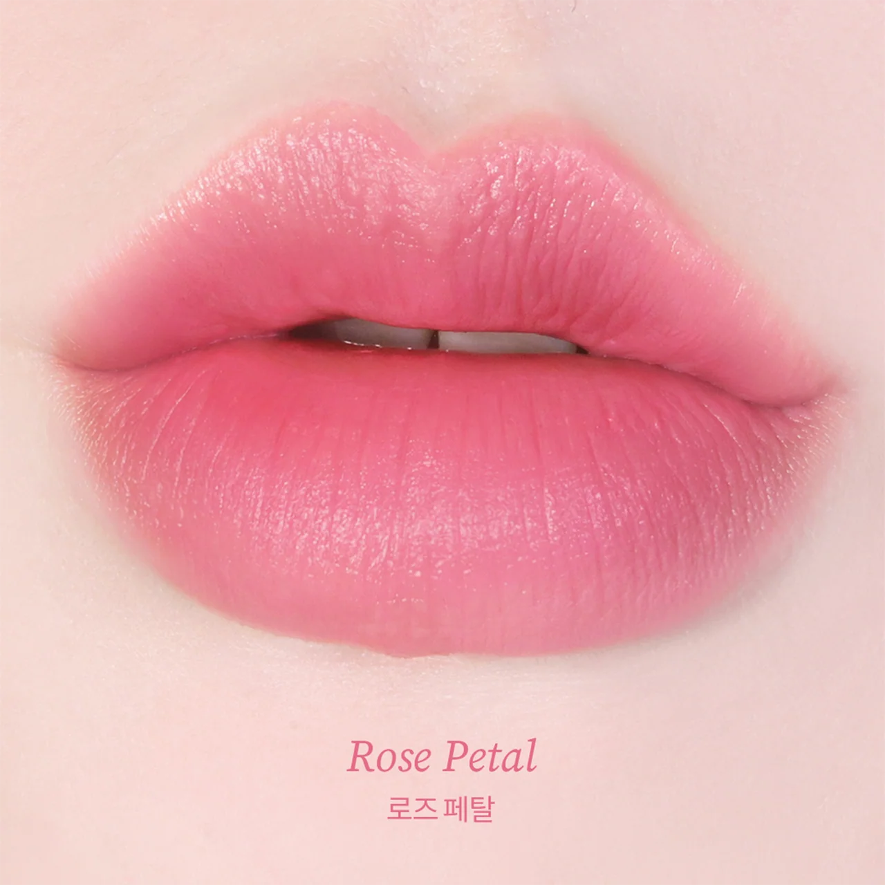 TOCOBO - Powder Cream Lip Balm