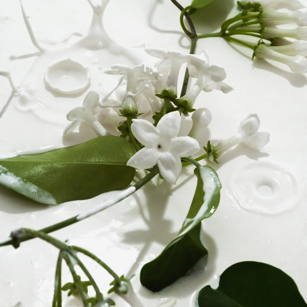 Phlur - Heavy Cream Body Mist