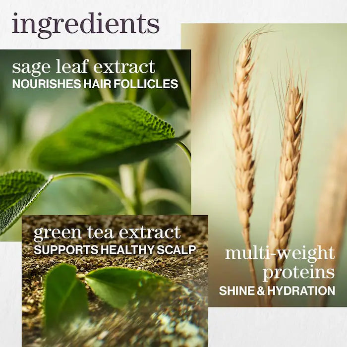 Pureology - Hydrate Shampoo Fot Medium to Thick Hair