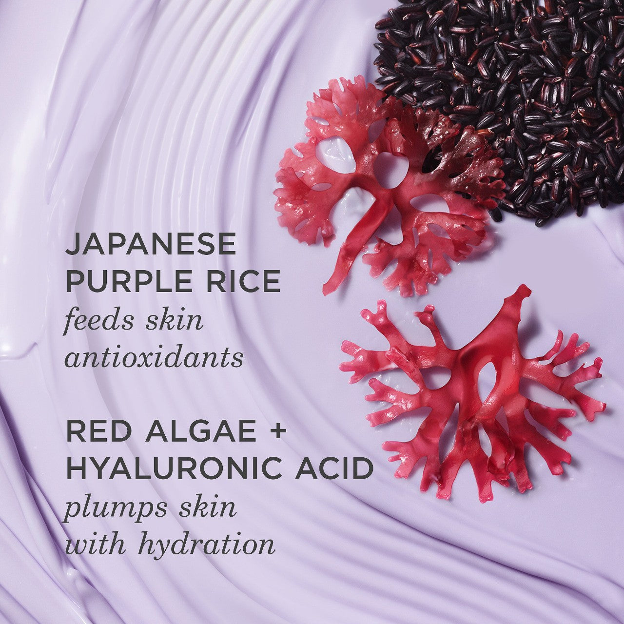 Mini Crema Hidratante The Dewy Skin Cream Plumping & Hydrating Moisturizer - Tatcha