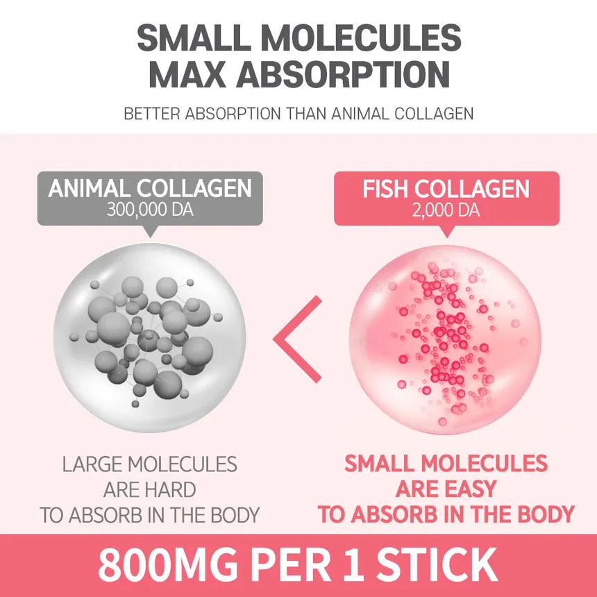 Boto - Small Molecular Collagen C